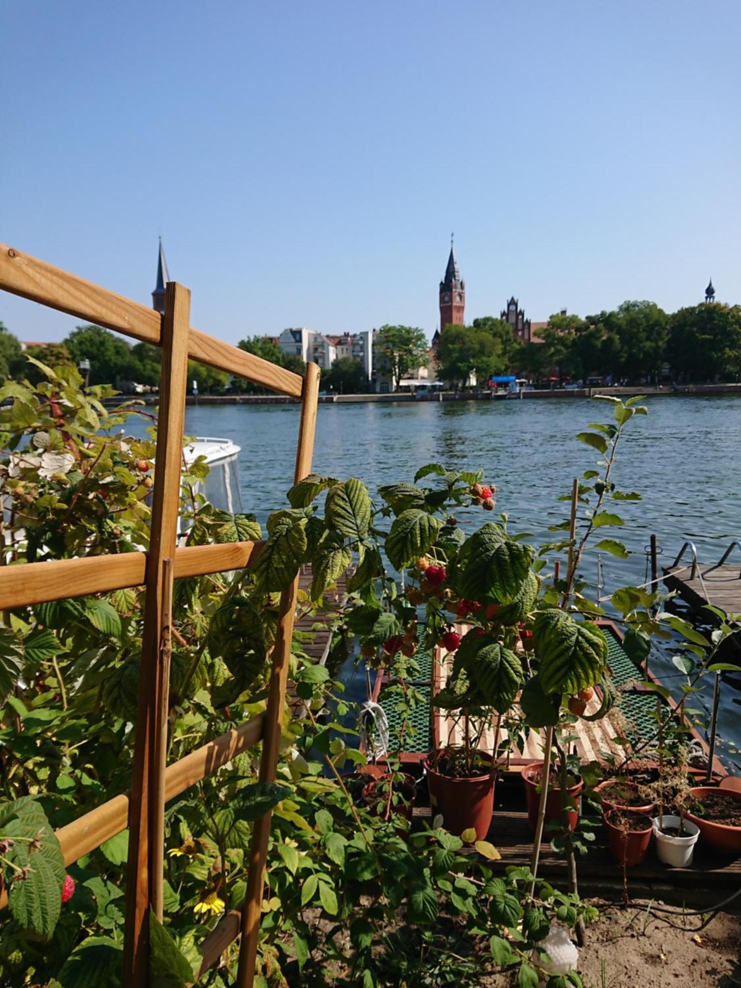 Ferienwohnung Dahme Berlin Am Wasser Luaran gambar